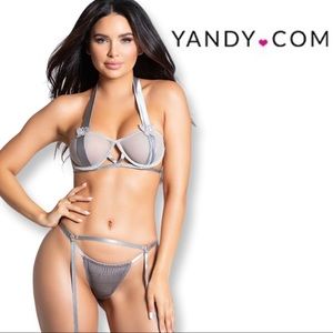 Brand new Roma Confidential 3 pc silver bra set butterfly detail & velvet panty